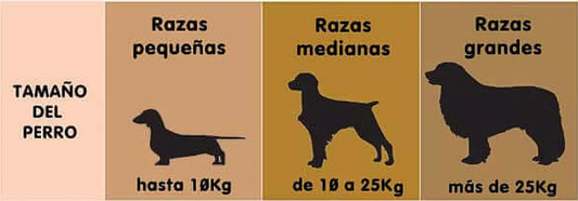 CITA PARA GROOMING PERRO